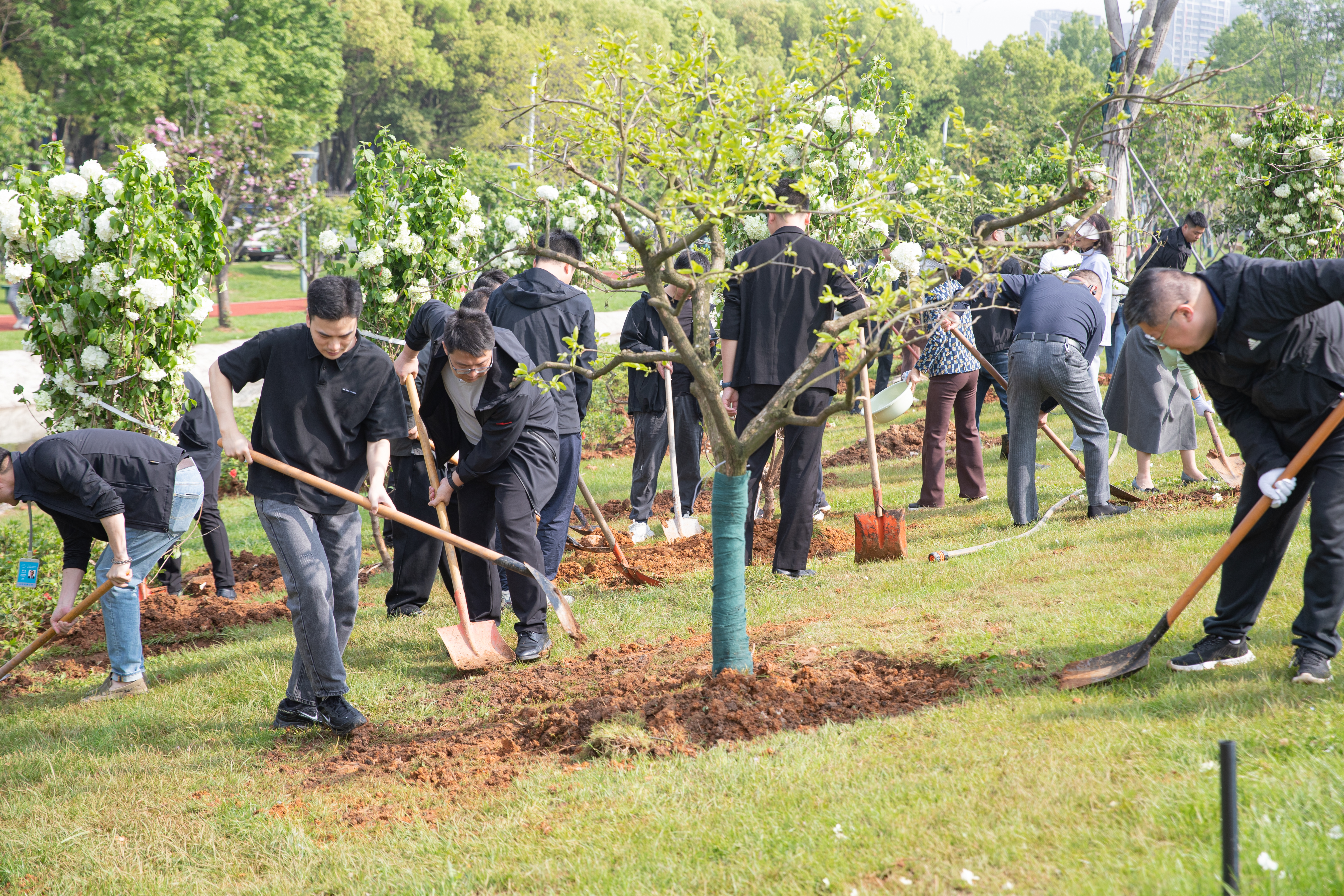 九游体育开展春季义务植树活动 为4A景区添新颜