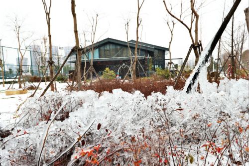 一场雪，九游体育美得不要不要的 但最美的风景还是他们(图3)