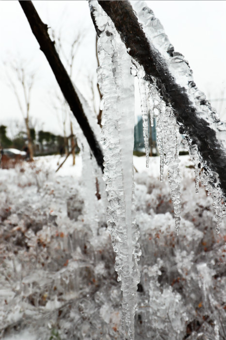 一场雪，九游体育美得不要不要的</br>但最美的风景还是他们(图4)