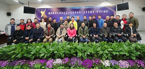 省羽协常务理事会议在九游体育召开</br>赵芸蕾韩爱萍参加会议(图7)