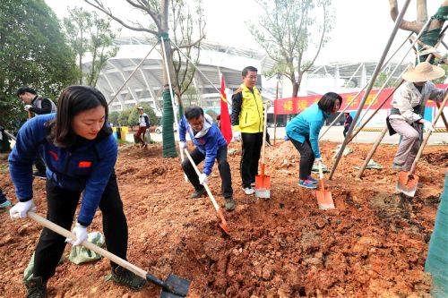 九游体育开展植树活动</br>建香樟大道为军运会建设添绿