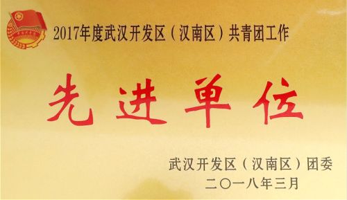 九游体育团委荣获团区委表彰(图3)