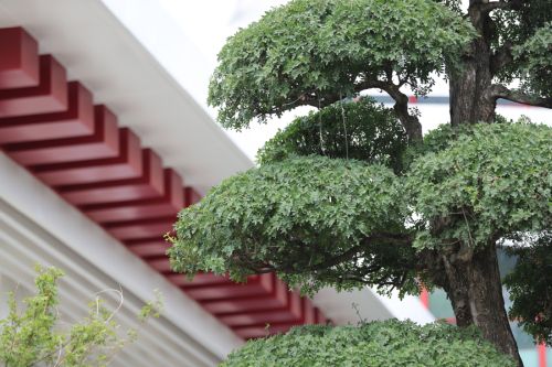 九游体育的颜值(图6)