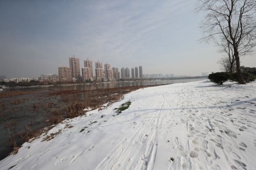 九游体育都是追梦人(图1)