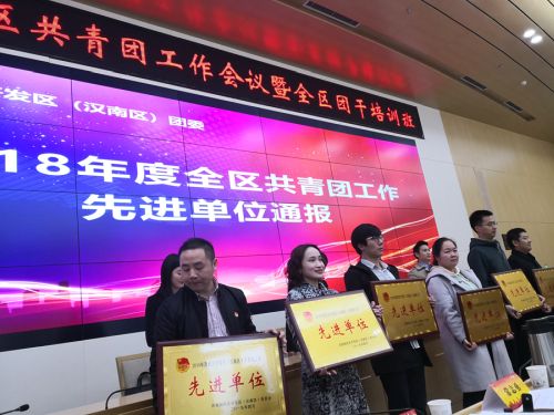 全区共青团工作会议召开  九游体育获得“共青团工作先进单位”称号(图2)