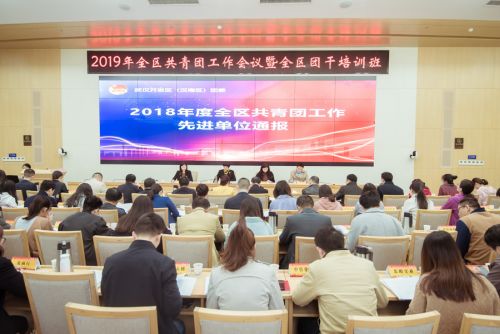 全区共青团工作会议召开  九游体育获得“共青团工作先进单位”称号(图1)
